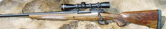 Carberry’s Serengeti 338-06