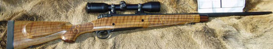 Roberts’ Serengeti Walkabout 270 WSM