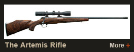 The Artemis Rifle